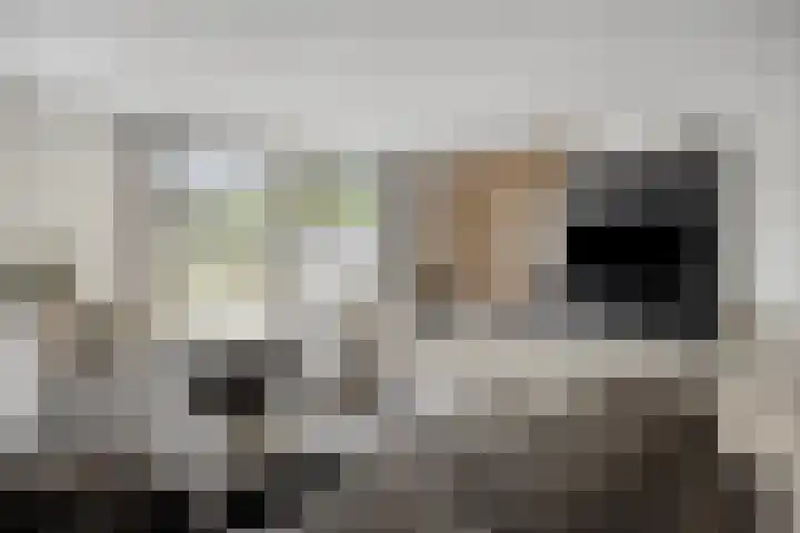 Turfsteker 3 Veenendaal thumbnail 11