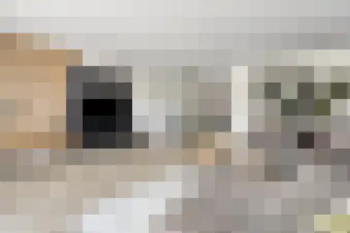 Turfsteker 3 Veenendaal thumbnail 12