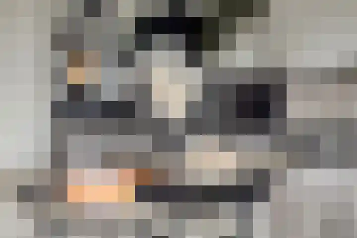 Turfsteker 3 Veenendaal thumbnail 13