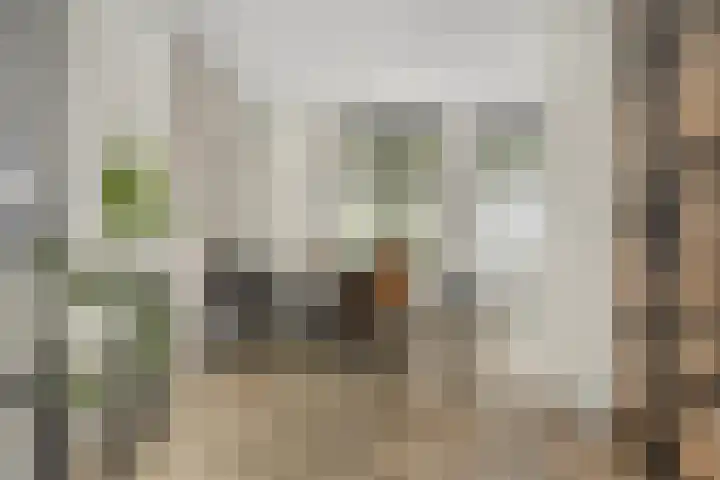 Turfsteker 3 Veenendaal thumbnail 15