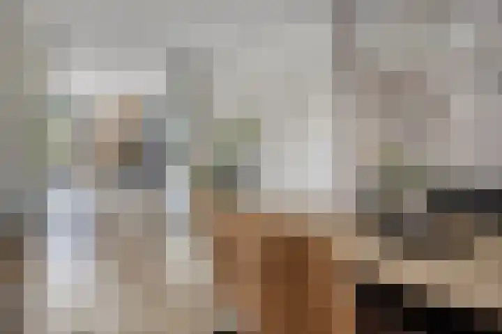 Turfsteker 3 Veenendaal thumbnail 17