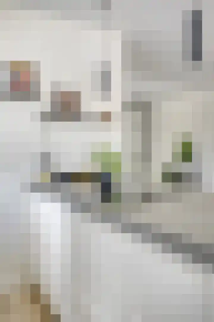 Turfsteker 3 Veenendaal thumbnail 19