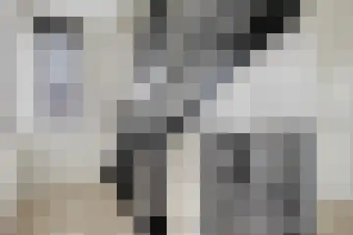 Turfsteker 3 Veenendaal thumbnail 22