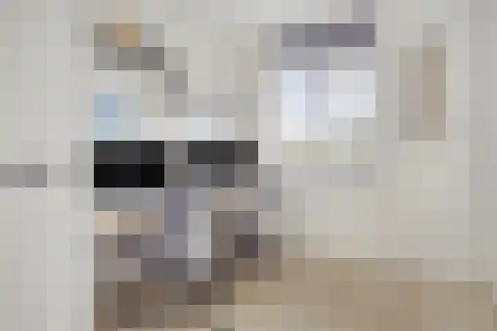 Turfsteker 3 Veenendaal thumbnail 26