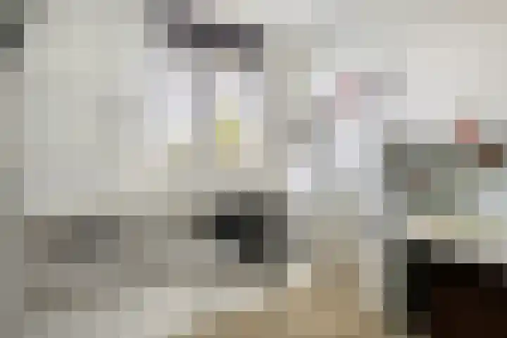 Turfsteker 3 Veenendaal thumbnail 29