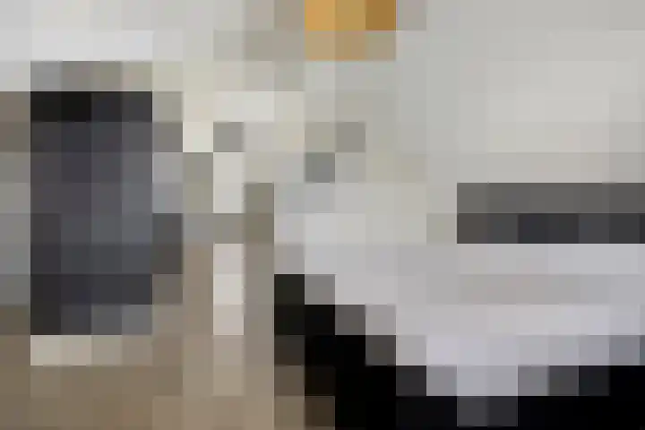 Turfsteker 3 Veenendaal thumbnail 30
