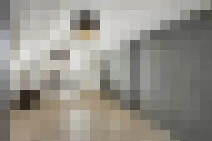 Turfsteker 3 Veenendaal thumbnail 32