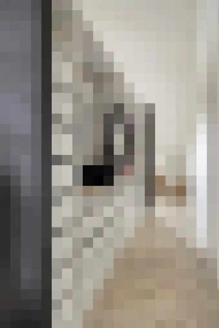 Turfsteker 3 Veenendaal thumbnail 33