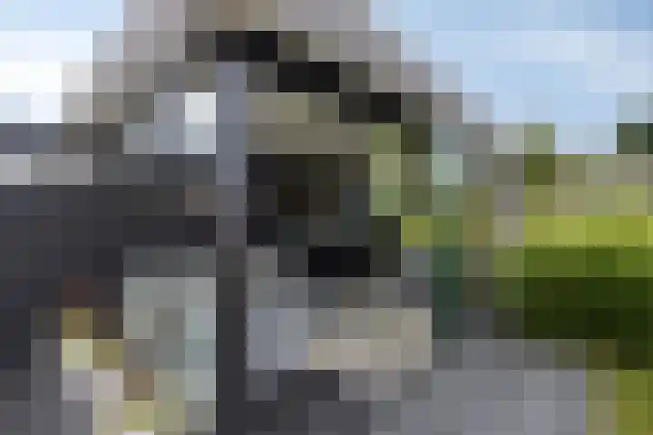 Turfsteker 3 Veenendaal thumbnail 36