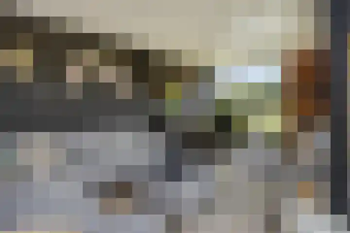 Turfsteker 3 Veenendaal thumbnail 37