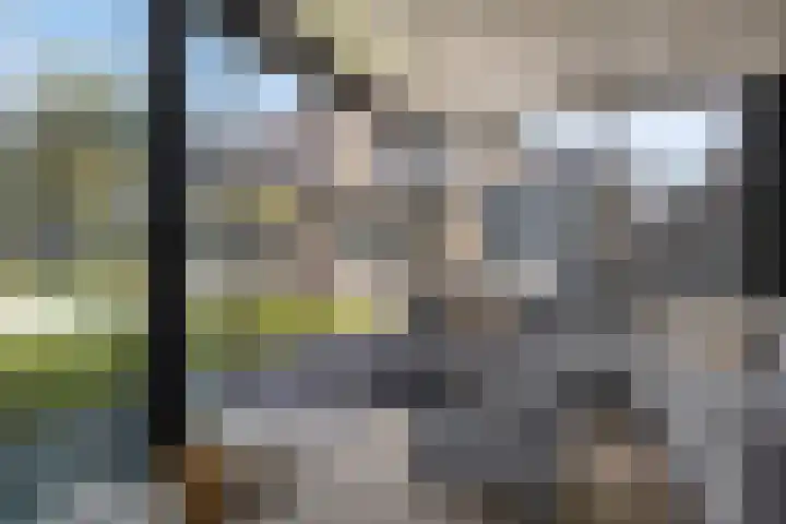 Turfsteker 3 Veenendaal thumbnail 38