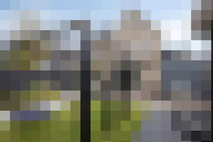 Turfsteker 3 Veenendaal thumbnail 39