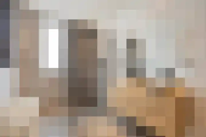 Turfsteker 3 Veenendaal thumbnail 4