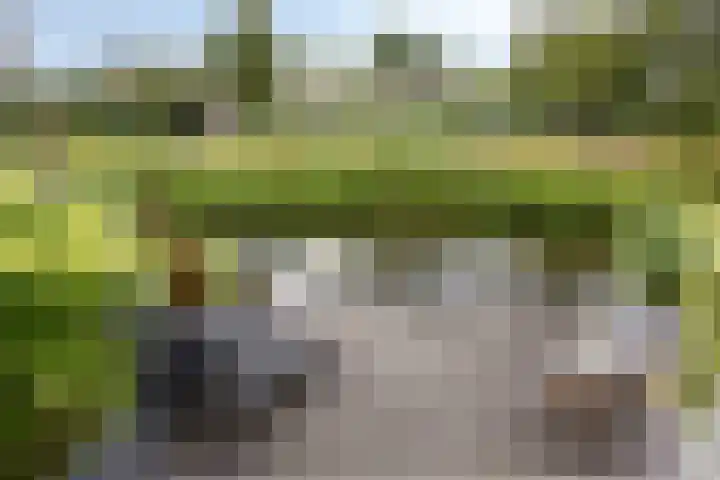 Turfsteker 3 Veenendaal thumbnail 40
