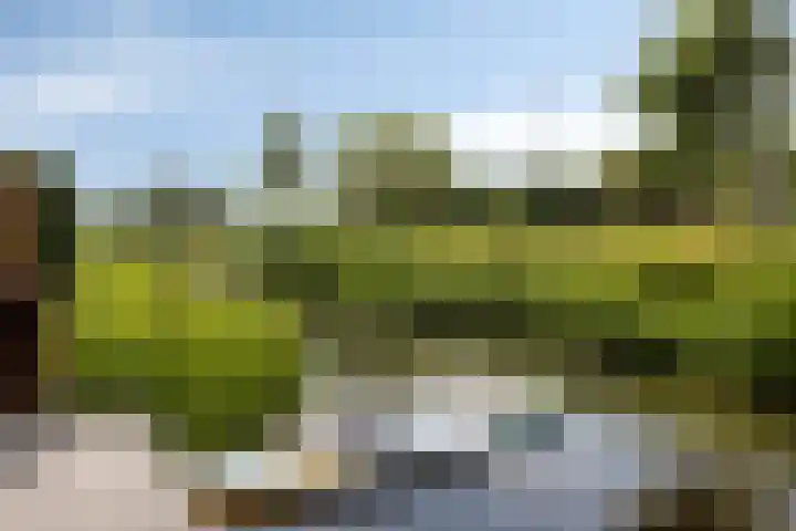 Turfsteker 3 Veenendaal thumbnail 41