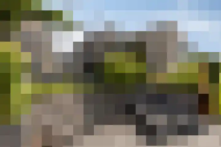 Turfsteker 3 Veenendaal thumbnail 42