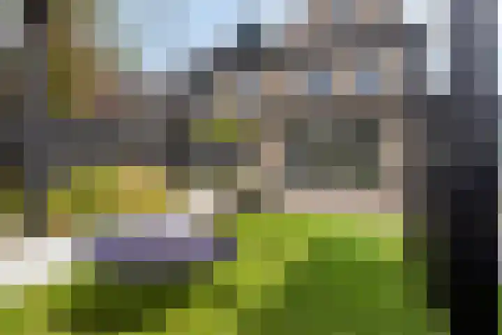 Turfsteker 3 Veenendaal thumbnail 43