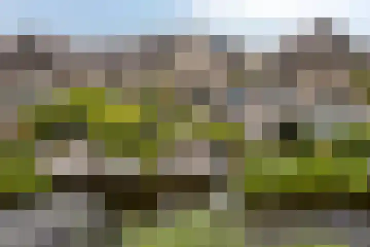 Turfsteker 3 Veenendaal thumbnail 44