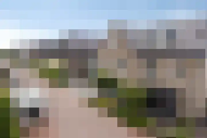 Turfsteker 3 Veenendaal thumbnail 46