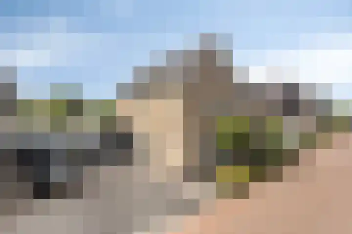Turfsteker 3 Veenendaal thumbnail 47