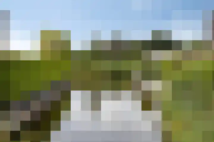Turfsteker 3 Veenendaal thumbnail 48