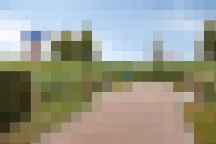 Turfsteker 3 Veenendaal thumbnail 49
