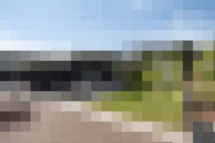Turfsteker 3 Veenendaal thumbnail 5