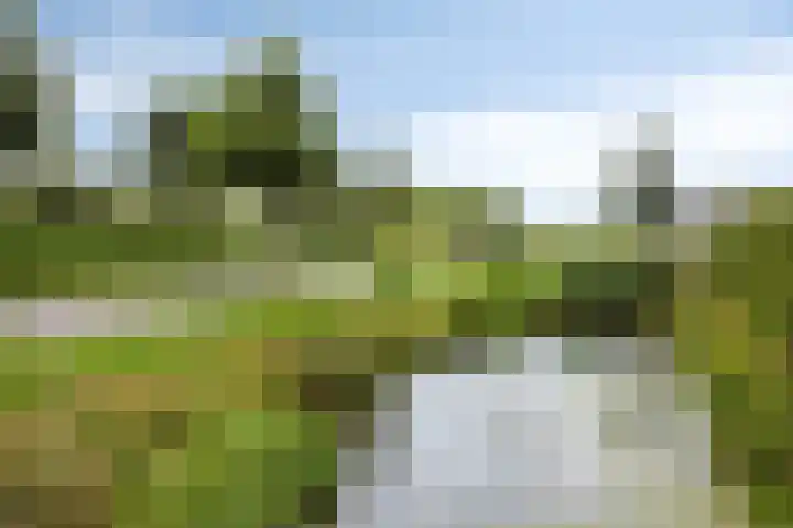 Turfsteker 3 Veenendaal thumbnail 50