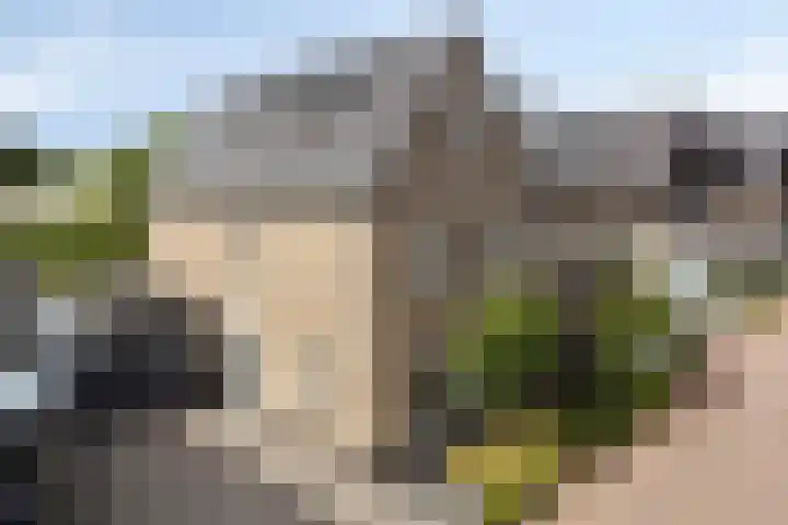 Turfsteker 3 Veenendaal thumbnail 6