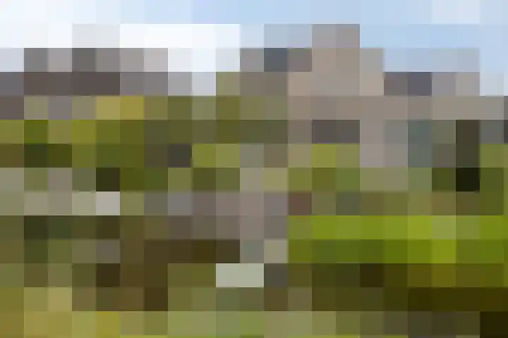 Turfsteker 3 Veenendaal thumbnail 61