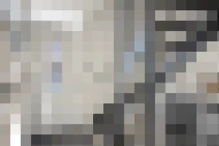 Turfsteker 3 Veenendaal thumbnail 8