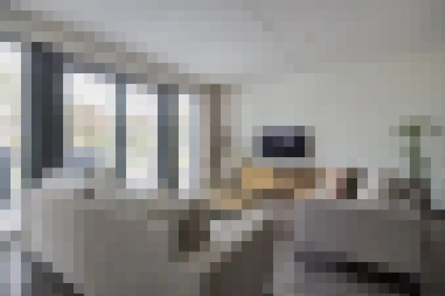 Turfsteker 30 Oudenbosch thumbnail 11
