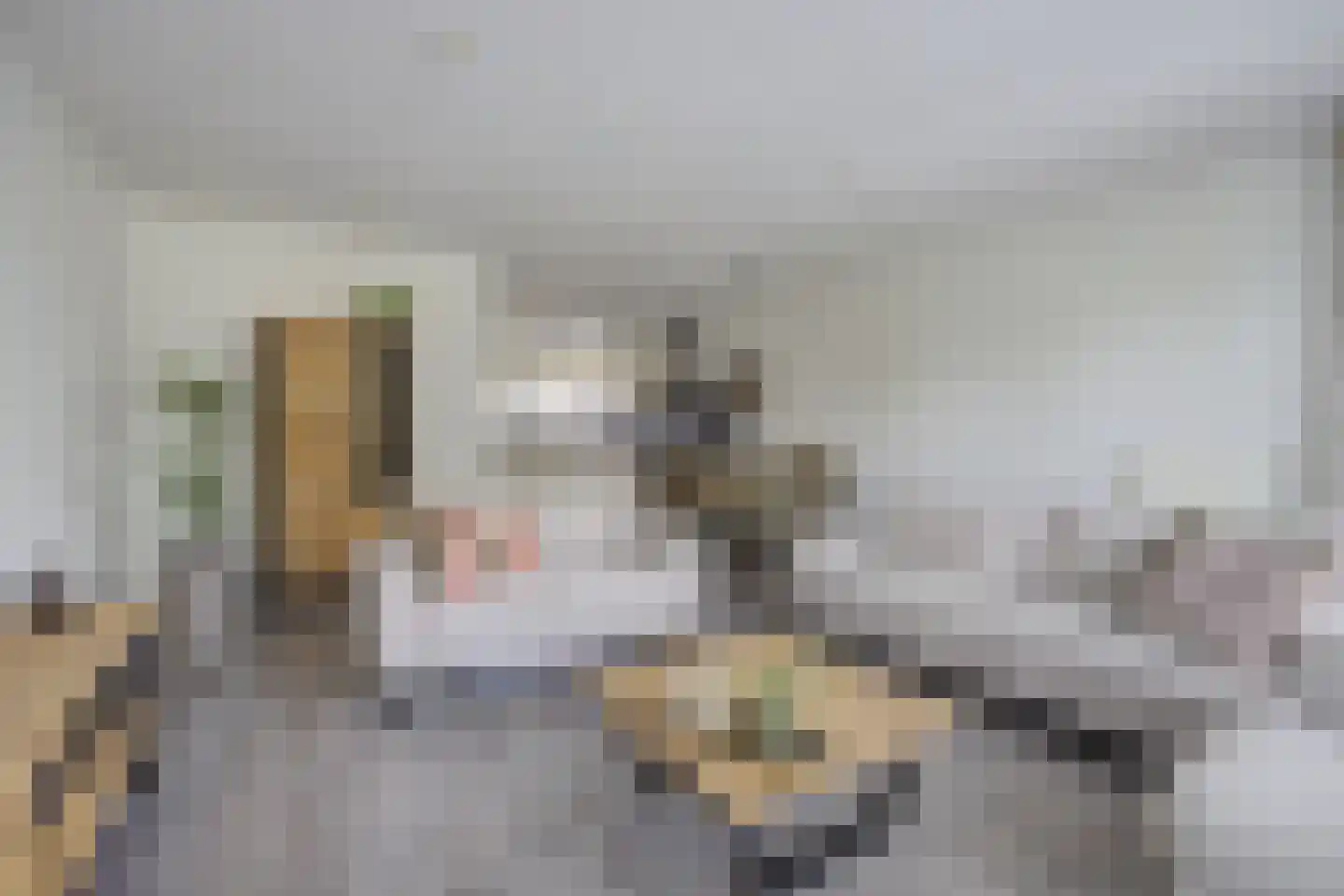 Turfsteker 30 Oudenbosch thumbnail 13