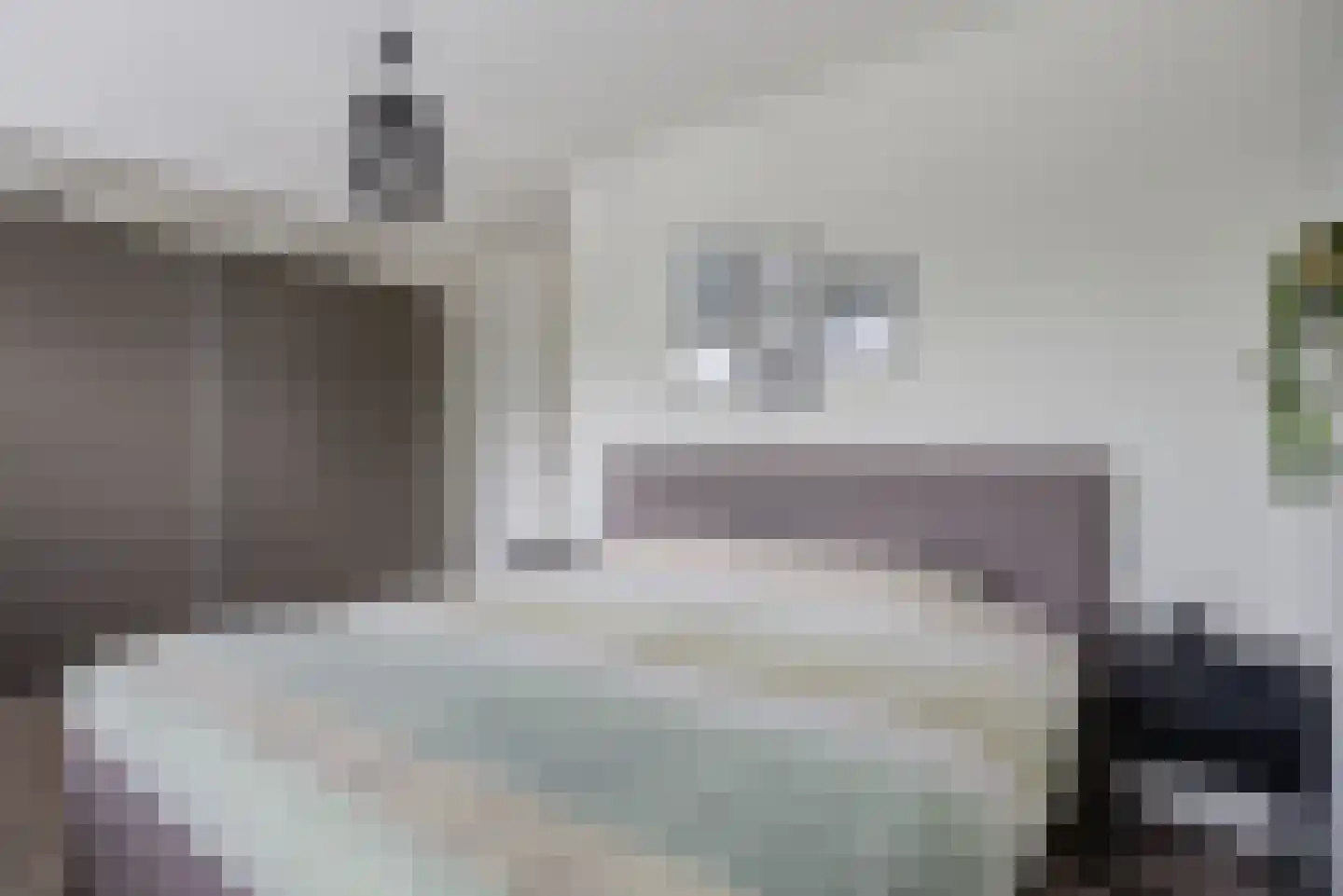 Turfsteker 30 Oudenbosch thumbnail 26