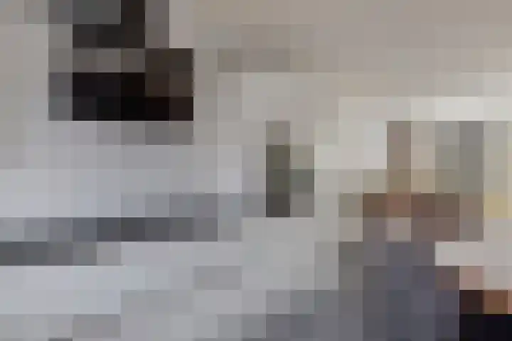 Turfsteker 33 Heerenveen thumbnail 19