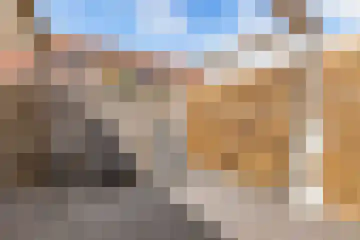Turfsteker 33 Heerenveen thumbnail 34
