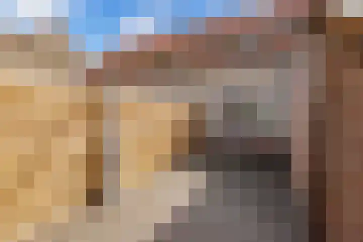 Turfsteker 33 Heerenveen thumbnail 35