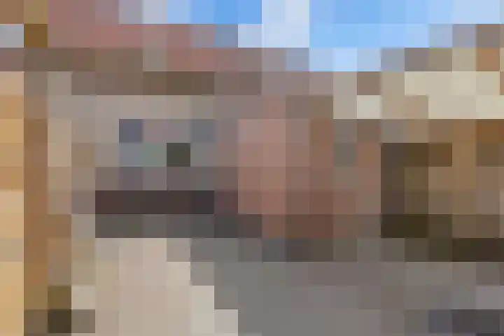 Turfsteker 33 Heerenveen thumbnail 36