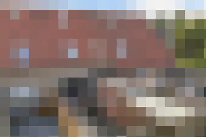 Turfsteker 33 Heerenveen thumbnail 41