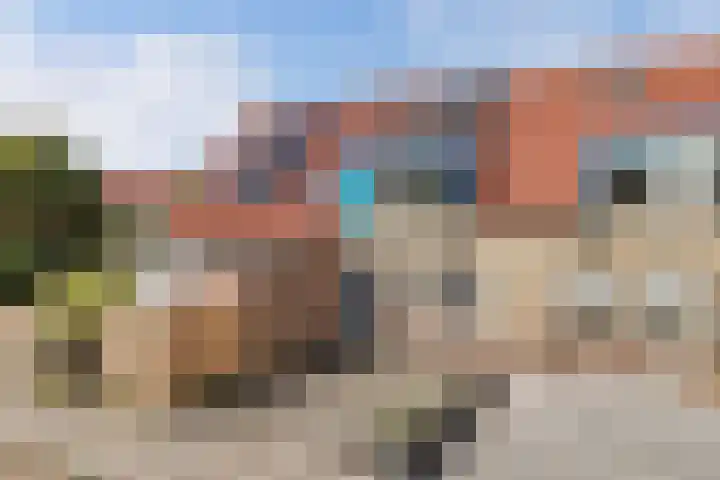 Turfsteker 33 Heerenveen thumbnail 44