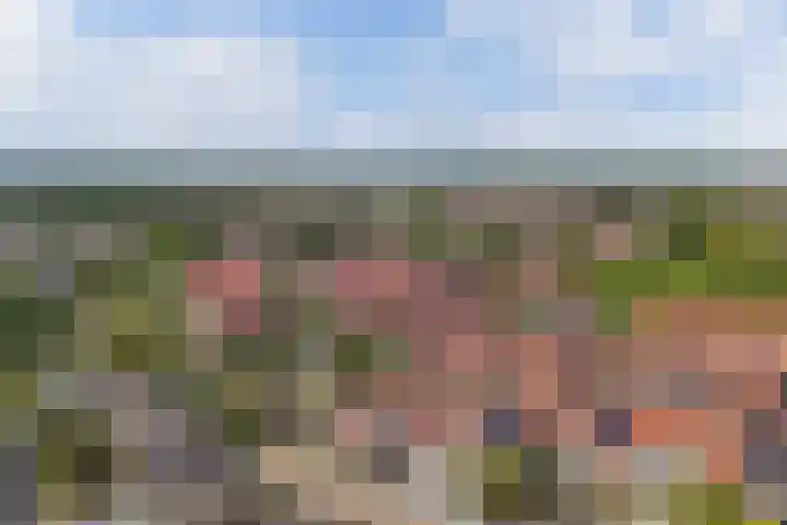 Turfsteker 33 Heerenveen thumbnail 46