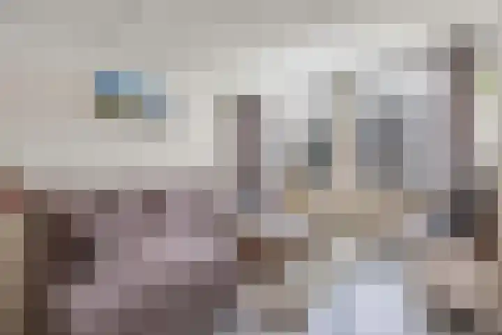 Turfsteker 33 Heerenveen thumbnail 7