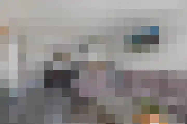 Turfsteker 33 Heerenveen thumbnail 9