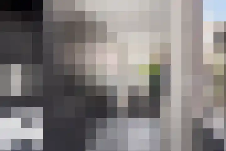 Turfsteker 41 Heerenveen thumbnail 14