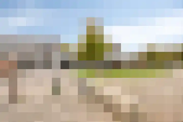 Turfsteker 41 Heerenveen thumbnail 26