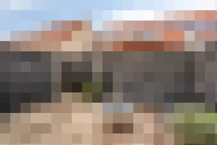 Turfsteker 41 Heerenveen thumbnail 4