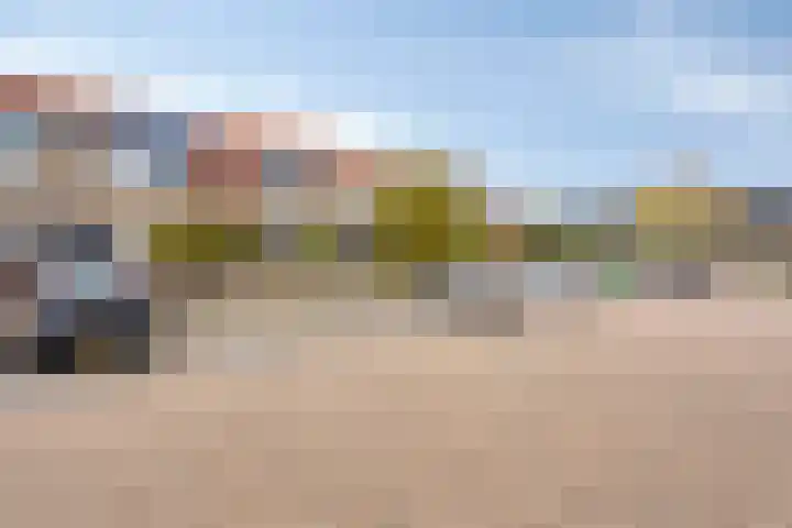 Turfsteker 41 Heerenveen thumbnail 5