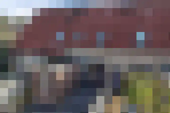 Turfsteker 47 Heerenveen thumbnail 37