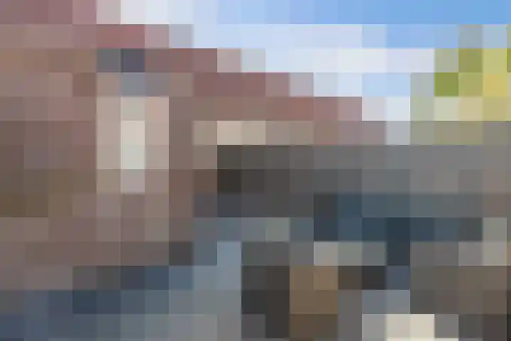 Turfsteker 47 Heerenveen thumbnail 4