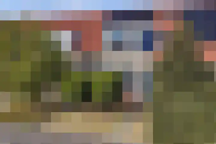 Turfsteker 47 Heerenveen thumbnail 40